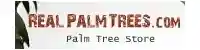 Real Palm Trees